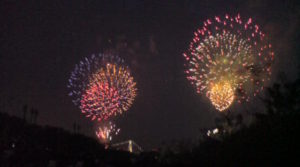 （豊洲エリア　アーカイブ）　東京湾大華火祭２０１０　（2010年8月　撮影）